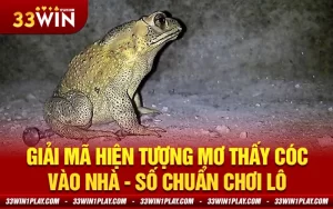 Giải mã hiện tượng Mơ thấy cóc vào nhà – Số chuẩn chơi lô