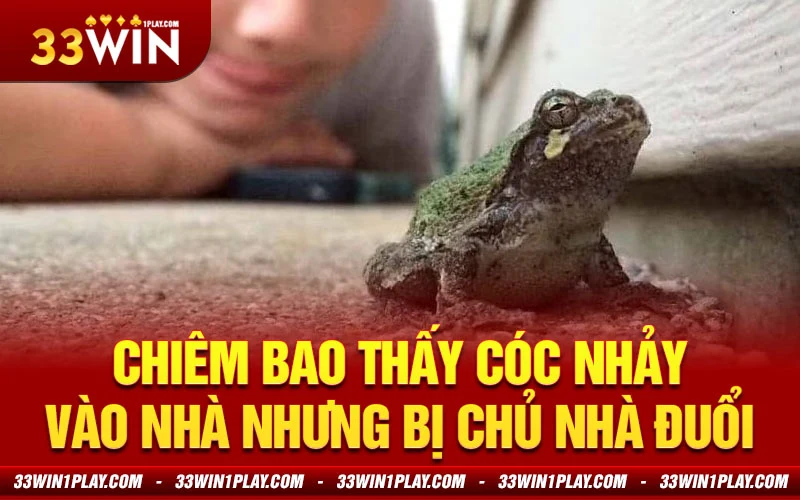 thấy cóc nhảy vào nhà nhưng bị chủ nhà đuổi ra ngoài