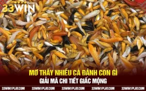 Mơ thấy nhiều cá đánh con gì – Giải mã chi tiết giấc mộng