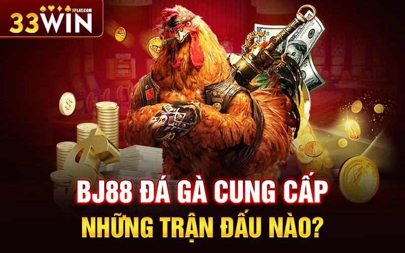 Bj88 đá gà cung cấp những trận đấu nào?